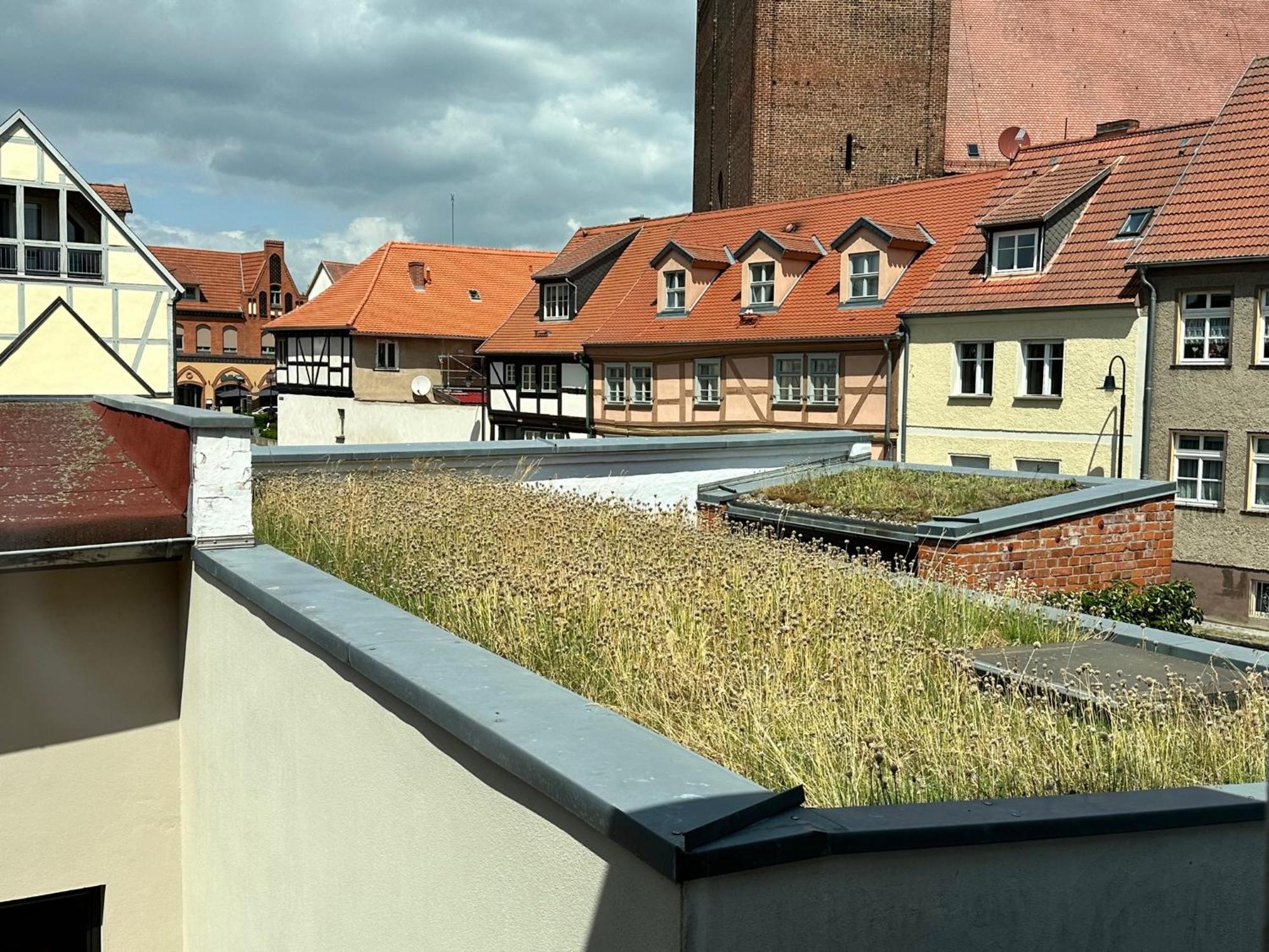 Elbblick Ferienhaus